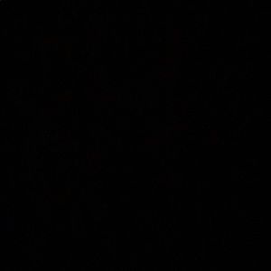 Meet your Posher, Ralph